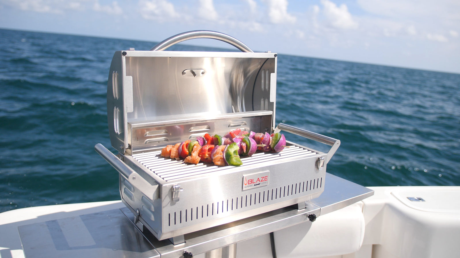 Blaze 27 in. Marine-Grade 316L Professional Portable Grill, BLZ-1PRO-P ...