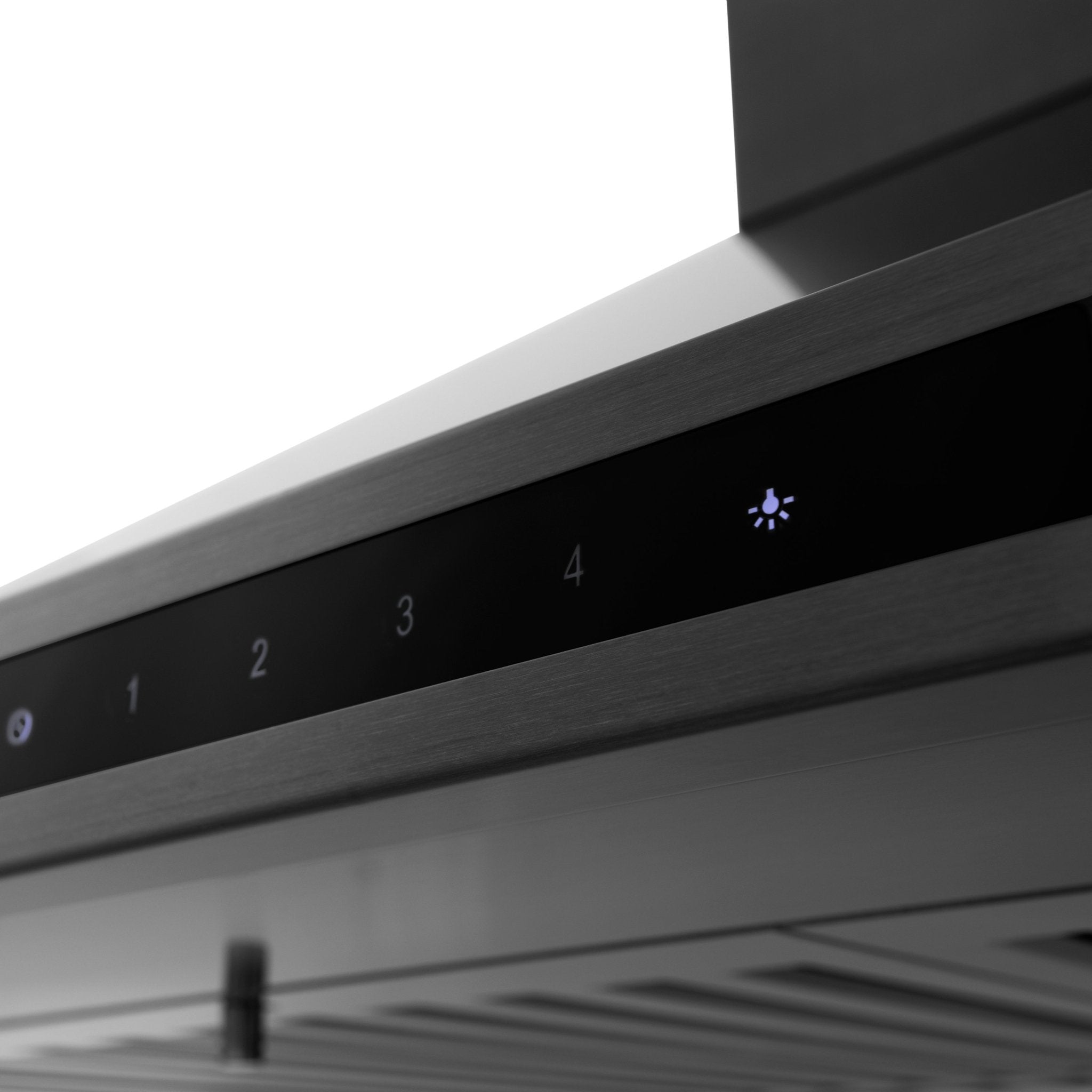 Vissani black store stainless range hood